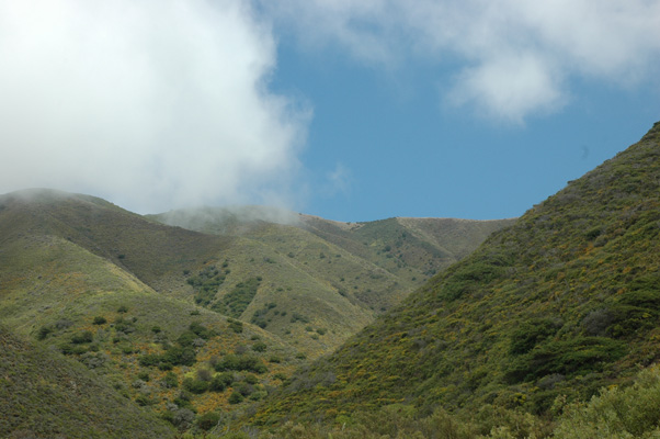 Soberanes Canyon 013.jpg